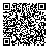 三星 W999 黑色 电信3G手机 双卡双待双通