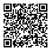 【花花公子圣诞行】花花公子PLAYBOY PBA1295-4L商务手提旅行包