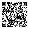 SAMSUNG 三星 RB29KHFE1SS/SC 双门冰箱 316L