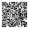 BYZ K8耳机入耳式苹果安卓小米手机全民k歌通用女生带麦线控耳塞