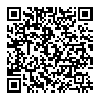 NPP 立体声耳机2条