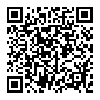 Newsmy 纽曼 NM-5车载充电器点烟器接头
