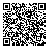 SONY 索尼 NW-ZX100 MP3播放器