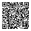 SONY 索尼 NW-ZX100 MP3 无损播放器