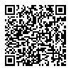 《Sonicomi（超级索尼子） 》PC数字版模拟游戏