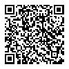 惟笙 QT100 圈铁入耳式耳机