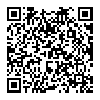 Midea 美的 燃气 壁挂炉 24R55