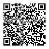 vivo Pad 平板电脑 触控笔 镐灰色